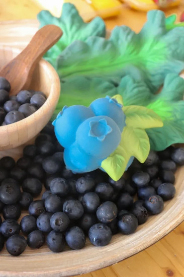 Прорезыватель «Jerry the Blueberry»
