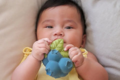 Прорезыватель «Jerry the Blueberry» - Фото 4