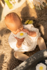Прорезыватель для зубов «Margarita the Daisy» - Фото 3