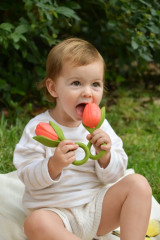 Прорезыватель для зубов «Theo the Tulip» - Фото 4