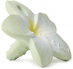 Прорезыватель для зубов «Bali the Flower» - Фото 1