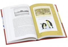 Моя жизнь. Южный полюс - Фото 4