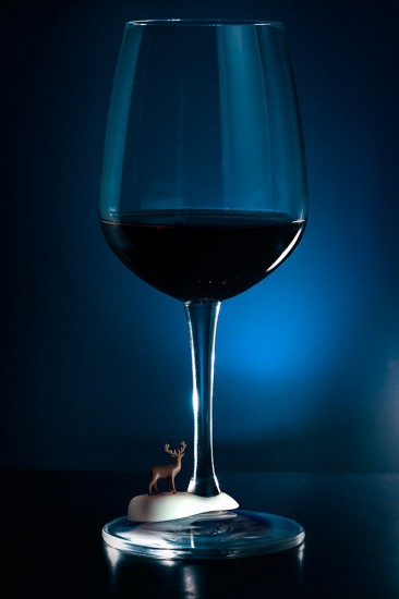 Маркеры для бокалов «Cool wine»