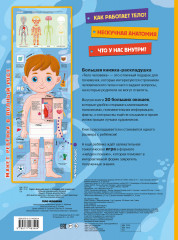 Тело человека - Фото 1