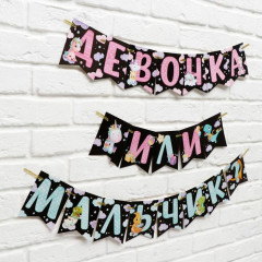 Гирлянда «Мальчик или девочка» - Фото 1