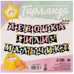 Гирлянда «Мальчик или девочка» - Фото 8