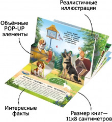 Энциклопедия для детей. Набор 6 карманных книг-панорамок - Фото 3