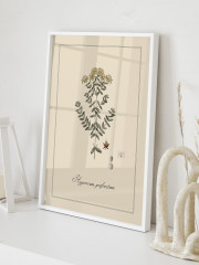 Набор постеров интерьерных «Botanica» - Фото 1