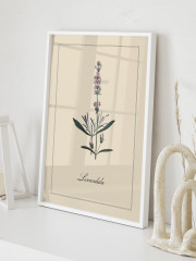 Набор постеров интерьерных «Botanica» - Фото 2