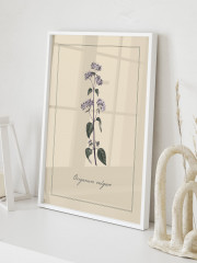 Набор постеров интерьерных «Botanica» - Фото 3