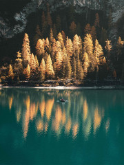 Набор постеров интерьерных «Woodland» - Фото 1