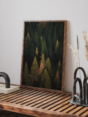 Набор постеров интерьерных «Woodland» - Фото 4