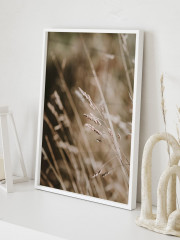 Набор постеров интерьерных «Herbs» - Фото 6