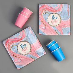 Набор посуды бумажной «Мальчик или девочка» - Фото 1