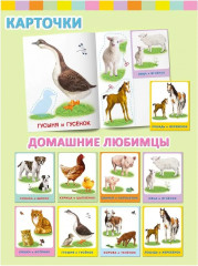 Аппликация с карточками «Домашние любимцы. Мамы и малыши» - Фото 1