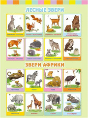 Аппликация с карточками «Лесные звери. Мамы и малыши» - Фото 1
