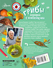 Грибы - Фото 1