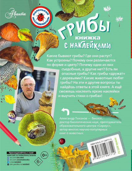 Грибы