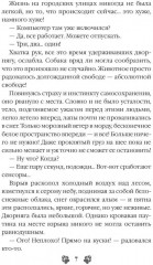 Кукольный дом - Фото 4