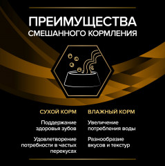 Корм для кошек при поздней стадии хронической почечной недостаточности - Фото 8