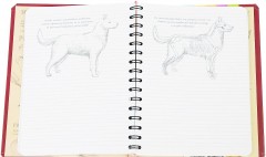 SketchBook. Визуальный экспресс-курс рисования (вишневый) - Фото 2