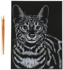 Гравюра «Бенгальская кошка» - Фото 2