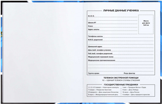 Дневник школьный «Электрогитара»