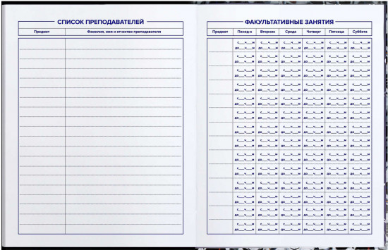 Дневник школьный «Кот-крутыш»