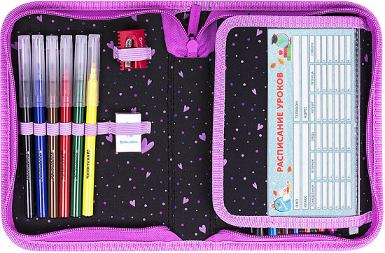 Пенал школьный