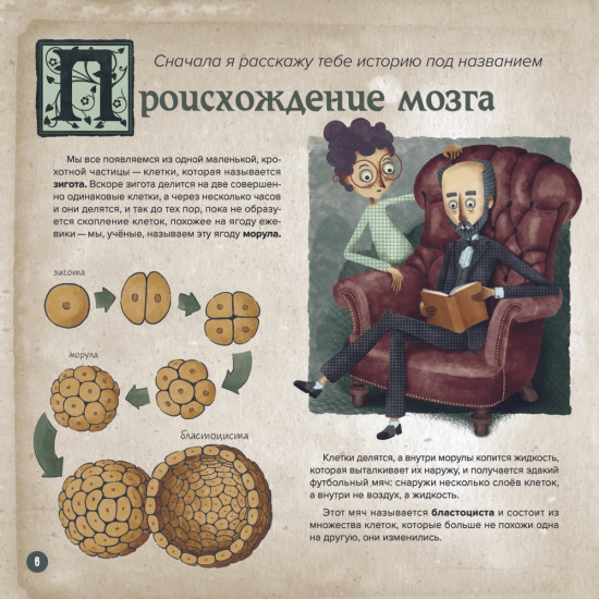 Мозг человека. Объясняет д-р Сантьяго