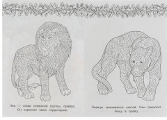 Львы. Раскраска. Арт терапия - Фото 1