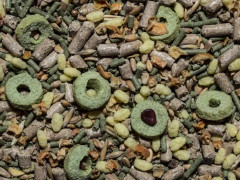 Корм для морских свинок «High Quality» - Фото 1