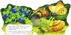 Книжка-искалочка. Жучок - Фото 1