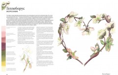 Портреты цветов от А до Я. Практическое руководство по рисованию акварелью - Фото 1