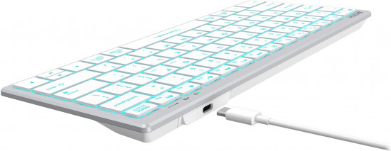 Клавиатура A4Tech Fstyler FX61