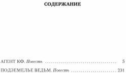 Агент Космофлота. Подземелье ведьм