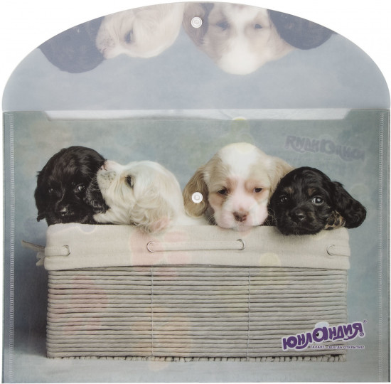 Папка-конверт с кнопкой