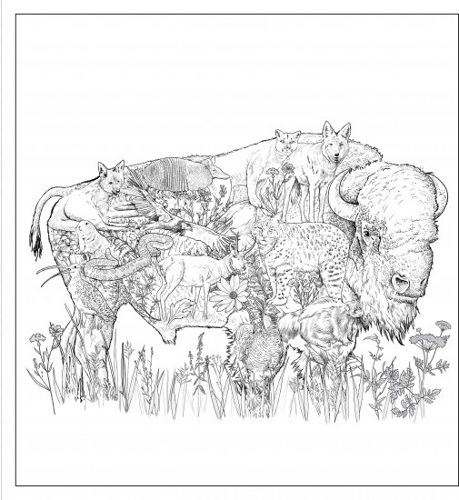 Imaginaria: In The Wild