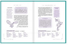 Гарри Поттер. Неофициальная книга-компаньон. Том 1. Философский камень - Фото 4