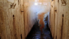 Дымокур серный - Фото 3