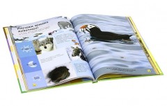 Планета Земля. Моя первая энциклопедия с медвежонком Винни и его друзьями - Фото 2