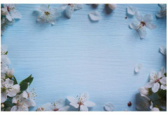 Фотофон двусторонний «Яблочный цвет на голубом и белом» - Фото 1