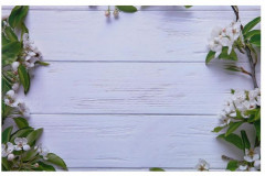 Фотофон двусторонний «Яблочный цвет на голубом и белом» - Фото 3