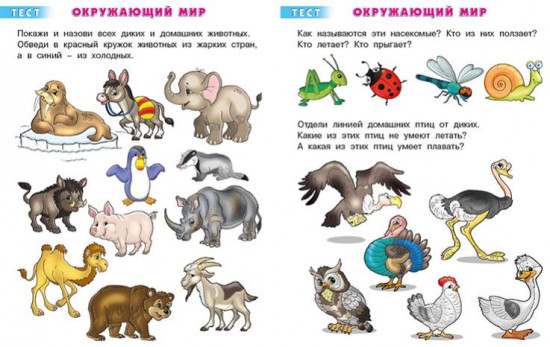 Тесты. 4-5 лет. Окружающий мир