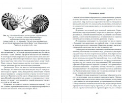 Осьминоги, каракатицы, адские вампиры. 500 миллионов лет истории головоногих моллюсков - Фото 2