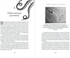 Осьминоги, каракатицы, адские вампиры. 500 миллионов лет истории головоногих моллюсков - Фото 3