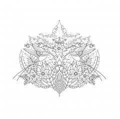 Magical Jungle. An Inky Expedition & Colouring Book - Фото 5