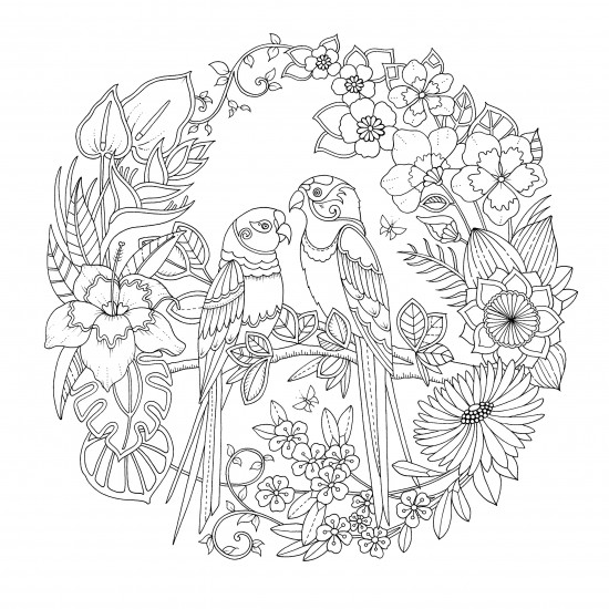 Magical Jungle. An Inky Expedition & Colouring Book
