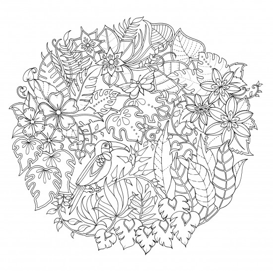 Magical Jungle. An Inky Expedition & Colouring Book