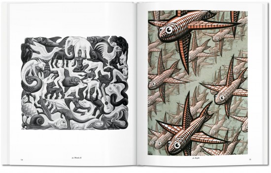 Escher (Basic Art)
